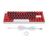 ciciglow Tastiera Meccanica a 68 Tasti, Tastiera da Gioco Retroilluminata RGB a 3 modalità Tastiera da Gioco Compatta Cablata Interruttore Blu