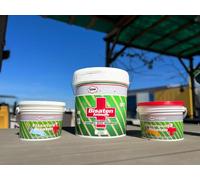 CICLO ANTIMUFFA CON CERTIFICATO BISATEN LT13 FISSATIVO LT 2,5 DETERGENTE LT 2,5