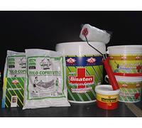 CICLO BISATEN ANTICONDENSA TERMOISOLANTE 13LT+DETERGENTE 2,5+FISSATIVO 2,5 +2 TELI COPRITUTTO+1KG DI STUCCO E RULLO CON GARANZIA 2 ANNI