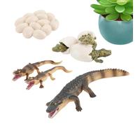 Ciclo di vita degli animali per bambini Figura Decorativa