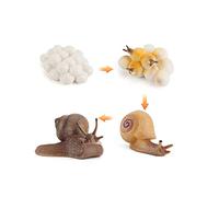 Ciclo di vita di rana lumaca di lumaca, libellula, uovo girino a rana safariologia figure anfibi kit di giocattoli di plastica foresta animali progetto scolastico per bambini (lumaca)