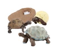 Ciclo di vita realistico in plastica della tartaruga che impara gli aiuti