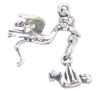 Cicogna con ciondolo in argento sterling per bebè .925 x 1 ciondoli per neonati