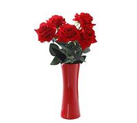 CIEEIN CIEHT Vaso di ceramica Accessori per la casa Disposizione dei fiori dell'ornamento del fiore essiccato in stile europeo Rosso C 20cm di altezza