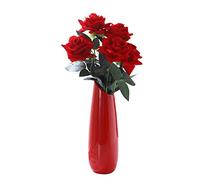 CIEEIN CIEHT Vaso di ceramica Accessori per la casa Disposizione dei fiori dell'ornamento del fiore essiccato in stile europeo Rosso B 19cm di altezza