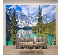 Cielo Blu Nuvole Bianche Montagne Innevate Laghi Boschi 3D Carta Da Parati Facile Installare Mobili Sfondi Ufficio Divano Camera Letto Sfondo Decorazione Murale-200cm×140cm