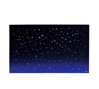 Cielo Luminoso a LED con Funzione Touch, Fibra Ottica, Alimentato a Batterie, Accessorio per Presepe 40x60x2,5 cm - Made in Italy (Cielo luminos)