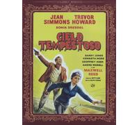 Cielo Tempestoso (DVD) Simmons Howard
