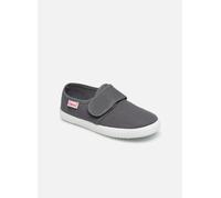 Cienta - Julio Grigio - Sneakers 22 Grigio