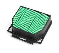 CIENUWPD Filtro dell'Aria del Motore della Motocicletta, Elemento filtrante dell'aspirazione dell'Aria ABS per Honda CB300R CB125R Neo Sports Cafe CBF125 2018-2021(As The Picture)