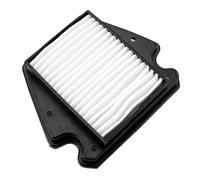 CIENUWPD Filtro dell'Aria per Motore di Motocicletta, Elemento filtrante per aspirazione dell'Aria, filtri dell'olio per Benda Darkflag 500 Commander BD500-2A(Air Filter)