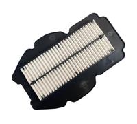 CIENUWPD Filtro di aspirazione dell'Aria del Motore di Ricambio per Motocicletta, Elemento filtrante dell'Aria per Motocicletta per Hyosung GV650 GV 650 QH650(As The Picture)