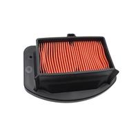 CIENUWPD Pulitore del Filtro di aspirazione dell'Aria del Motore della Motocicletta Elemento del Filtro dell'Aria della Motocicletta per Hyosung GV300S GV 300 S QH300-A Bobber