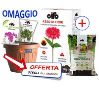 Cifo ASSO DI FIORI 1 kg - Concime Solubile NPK 20.20.20 - Terriccio Universale