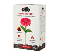 CIFO Asso di Fiori - Concime Piante Verdi Grasse e Fiorite in Polver 1 KG Single