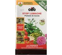 CIFO Stop Lumache disabituante limacce Polvere di Roccia 1 kg