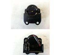 CIGALINA CICALINO FRECCE LML STAR 125-150-151-200 2/4 tempi COD. C-4714640