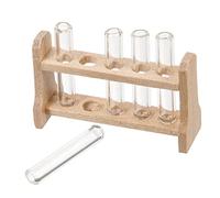 Ciieeo 1set Test Tube Miniature Con Portaprovette Per Dollhouse Accessori Decorativi Per Mini Case e Scene Per Collezionisti e Amanti Delle Miniature