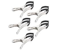 Ciieeo Clip in Acciaio Inox per Riparazione Sassofono e Clarinetto, Set 5 Pezzi, Strumento Professionale Compatto per Manutenzione Strumenti a Fiato, Accessorio Durevole per Interventi