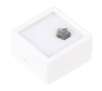 Ciieeo Decorazione Di Modelli Esemplare Decorazione Giocattoli Per Ragazzo Ragazza Ragazza Per Spiegazione Educazione Scientifica Materiali Per Insegnamento Agli Studenti Naturali e