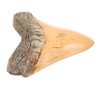 Ciieeo Decorazione Megalodonte Retro Modello Preistorico Fossilizzato e Accessorio Leggero e Compatto per Appassionati Preistoria