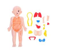 Ciieeo Kit Anatomico Umano Per Ragazzo Ragazza Educativo Con Organi Rimovibili Per Insegnamento Casa e Scuola Giocattolo Didattico Per Studiare Anatomia Del Corpo Umano