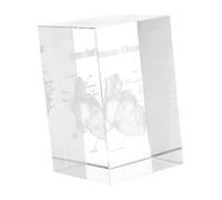 Ciieeo Ornamenti In Cristallo Intagliato Decorazioni Scientifiche Modello Di Polmone Patologico Modello Di Cuore Umano Modello Di Polmone Umano Modello Anatomico Del Cervello Modello Di
