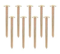 Ciieeo Set 10 Picchetti in Acciaio Inossidabile da 10 Cm per Giardinaggio, Chiodi di Terra Resistenti per Marcatori di Confine, Paletti di Segnalazione per Uso Esterno e Paesaggistico