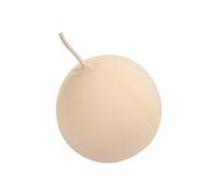 Ciieeo Vescica per Campionamento Gas Laboratorio Palloncino Durevole Grande Capacità Sacca Interna Resistente per Estrazione Mineraria e Test Gas