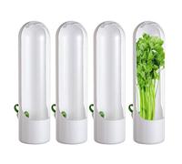 Cilantro Storage Fresh Vault, Household Produce, Versatile Vegetable Saver Botanical Leaf Conservation Transparent Aerated Moisture Unit Longevity Mx 6.5x8.5x25.5cm for Kitchen