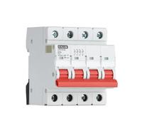 CILIA Interruttore Sezionatore 25A/40A/63A 4P 415V AC, Montaggio Su Guida DIN, Occupa 4 Moduli,In=25A (JVD16-63-4P-25A)