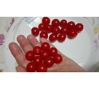 CILIEGINO LILLIPUT, SMALL, SWEET, PRODUCTIVE, TOMATO, SEEDS TOMATO
