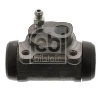 Cilindretto freno Assale posteriore Dx Ghisa grigia 09616 FEBI BILSTEIN