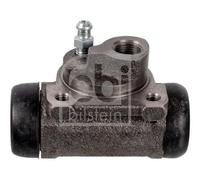 Cilindretto freno Assale posteriore Dx Ghisa grigia 108024 FEBI BILSTEIN