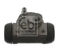 Cilindretto freno Assale posteriore Dx Ghisa grigia 12390 FEBI BILSTEIN