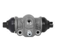 Cilindretto freno Assale posteriore Ghisa C50540ABE ABE per KIA HYUNDAI