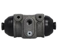 Cilindretto freno Assale posteriore Ghisa C5C026ABE ABE per PEUGEOT FIAT CITROËN