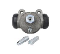 Cilindretto freno Assale posteriore Ghisa C5M010ABE ABE per MERCEDES-BENZ O 408