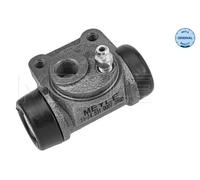 Cilindretto freno Assale posteriore Sx Ghisa grigia 11-14 531 0007 MEYLE