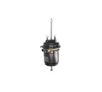 Cilindri freno a molla DT Spare Parts 2.40430