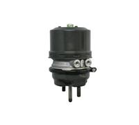 Cilindri freno a molla WABCO 9254810320