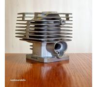 Cilindro 38mm per STIHL FS250 FS200 FS200 FS120 FS250R BT120 HT250 4134 020 1212