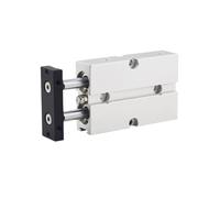 Cilindro a doppia guida a doppio asse TN10X75S TN10X80S TN10X100S(TN10X75S)