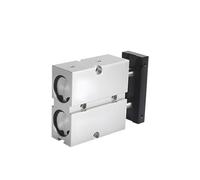 Cilindro a doppio stelo TN20 alesaggio 20 mm corsa 10-200 mm cilindro a doppio effetto TN20X30S TN20X50S TN20X80S TN20X100S(TN20X25S)