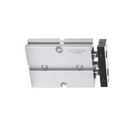 Cilindro a doppio stelo TN25×80 Alesaggio 25 mm Corsa 10-200 mm Include tampone anti-collisione(TN25X75S)