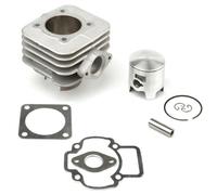 Cilindro Airsal Ø46-65cc Piaggio/Vespa Aria 50cc 02061446 Per Moto Ricambi