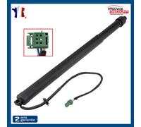 Cilindro Cofano Motorizzato Posteriore Destra per Peugeot 3008 II (2018