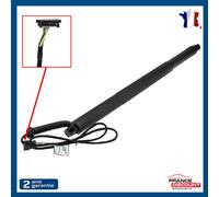 Cilindro Cofano Motorizzato Posteriore Sinistra per BMW X4 F26 (2014-2018)