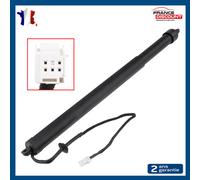 Cilindro Cofano Motorizzato Posteriore Sinistra per Peugeot 3008 II (2018