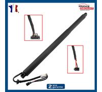 Cilindro Cofano Motorizzato Posteriore Sinistra per Skoda Octavia 3 Combo -